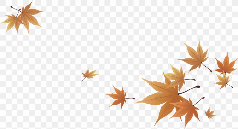 Maple Leaf, PNG, 1734x942px, Leaf, Autumn, Deciduous, Illustration, Maple Download Free