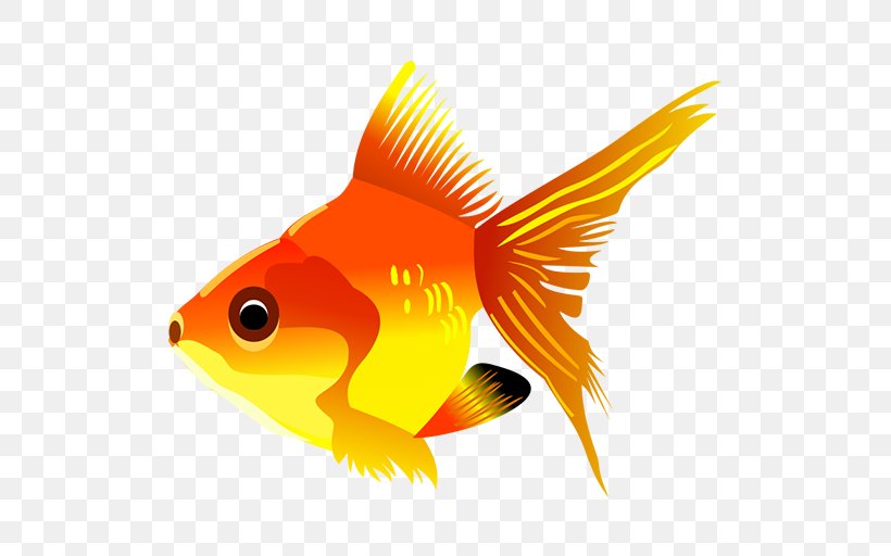 Pet Goldfish Cartoon Clip Art, PNG, 512x512px, Goldfish, Aquarium, Bony Fish, Cartoon, Fauna Download Free