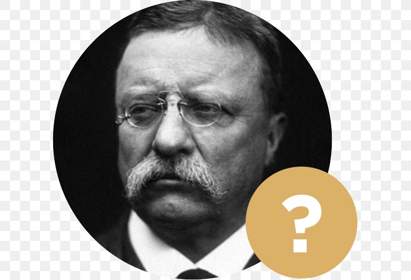 Theodore Roosevelt On Leadership: Executive Lessons From The Bully Pulpit United States Thirteen Books A Vote Is Like A Rifle: Its Usefulness Depends Upon The Character Of The User., PNG, 609x558px, Theodore Roosevelt, Beard, Big Stick Ideology, Black And White, Chin Download Free
