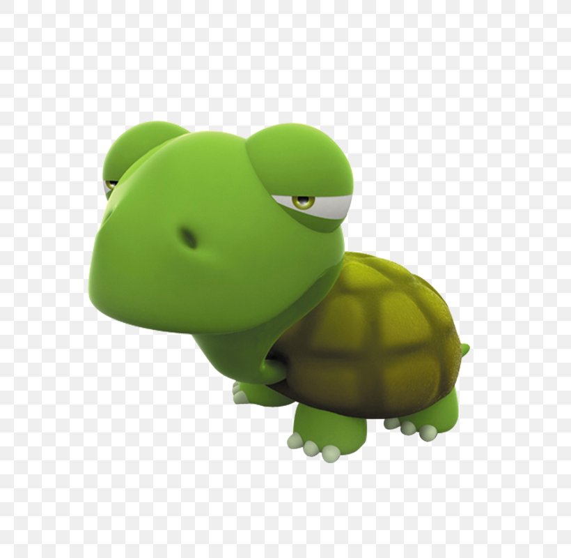 Turtle Image Cartoon Vector Graphics B&B Piazza Roma, PNG, 800x800px, 2018, Turtle, Cartoon, Green, Green Sea Turtle Download Free
