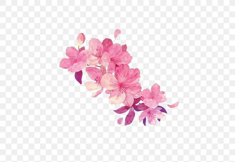 Floral Design Illustration, PNG, 509x564px, Floral Design, Art, Auglis, Blossom, Cartoon Download Free