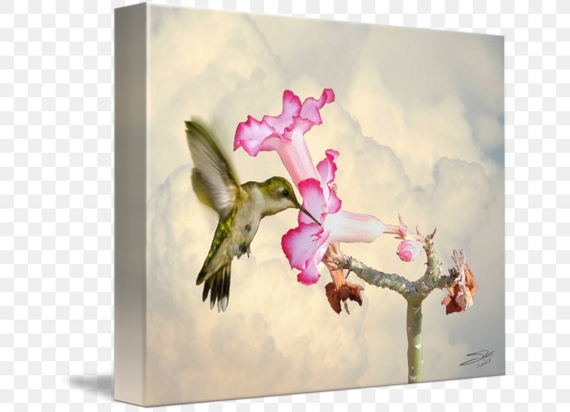 Hummingbird Watercolor Painting Rose, PNG, 650x593px, Hummingbird, Adenium, Adenium Obesum, Art, Artist Trading Cards Download Free