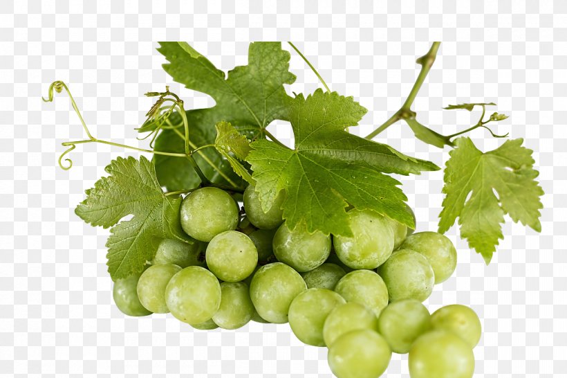 Juice Common Grape Vine Wine Fruit, PNG, 1200x800px, Juice, Berry, Common Grape Vine, Food, Fruit Download Free