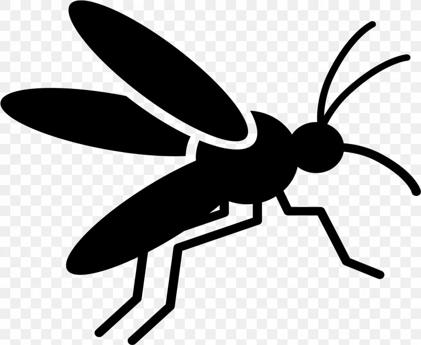 Leaf Fly, PNG, 1582x1296px, Mosquito, Blackandwhite, Cartoon, Chikungunya Virus Infection, Coloring Book Download Free