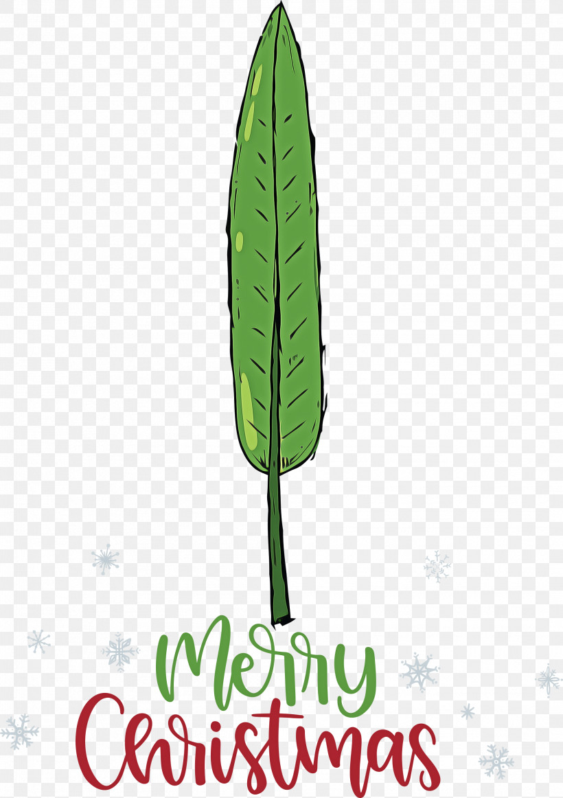 Merry Christmas, PNG, 2116x3000px, Merry Christmas, Biology, Leaf, Plant Structure, Plants Download Free