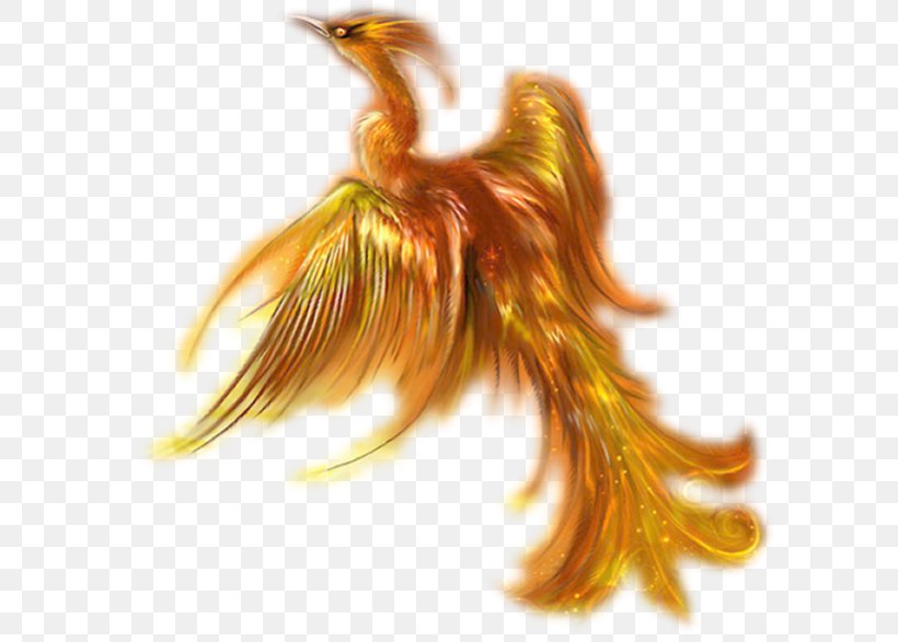 Phoenix Mythology Legend Bird, PNG, 600x587px, Phoenix, Bird, Drawing, Fairy, Feather Download Free