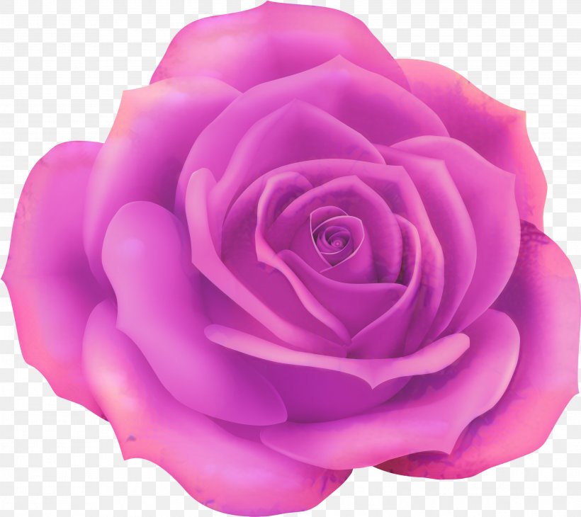 Pink Flower Cartoon, PNG, 2998x2671px, Rose, Blue Rose, Camellia, Cut Flowers, Floribunda Download Free