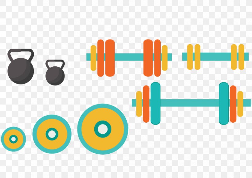 Exercise Equipment Euclidean Vector Physical Exercise Weight Training, PNG, 842x595px, Dumbbell, Area, Brand, Diagram, Exercise Equipment Download Free