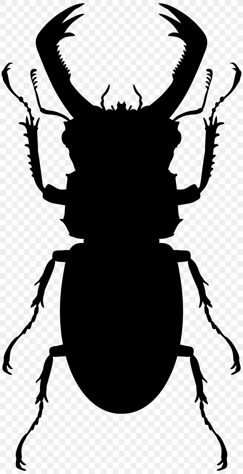 Hercules Beetle Stag Beetle Vector Graphics Stock Photography, PNG, 4105x8000px, Beetle, Arthropod, Blister Beetles, Darkling Beetles, Elephant Beetle Download Free