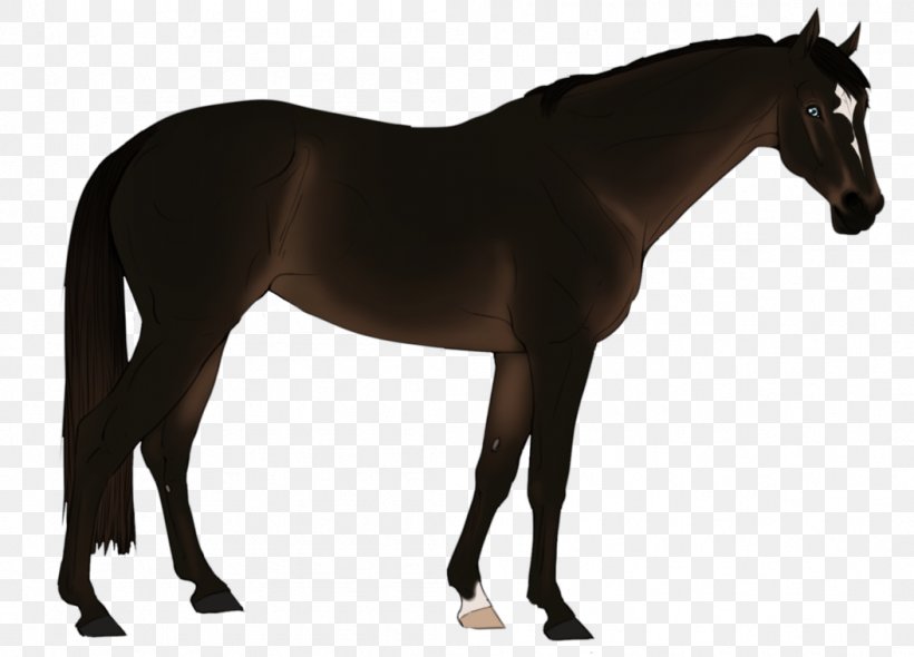 Mane Mustang Stallion Mare Colt, PNG, 1053x758px, Mane, Bit, Bridle, Chestnut, Colt Download Free