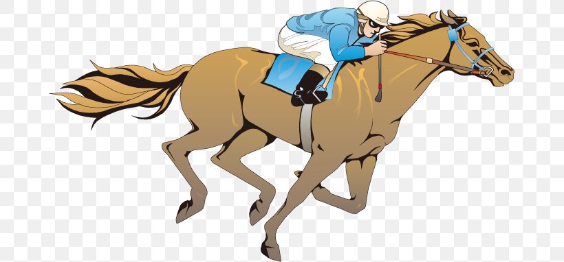 Thoroughbred Horse Racing Equestrianism Knight, PNG, 677x382px, Thoroughbred, Bridle, Cowboy, English Riding, Equestrian Sport Download Free