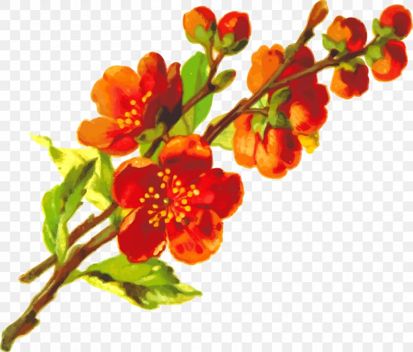 Flowering Plant Clip Art, PNG, 1920x1639px, Flower, Blossom, Branch, Flowering Plant, Petal Download Free