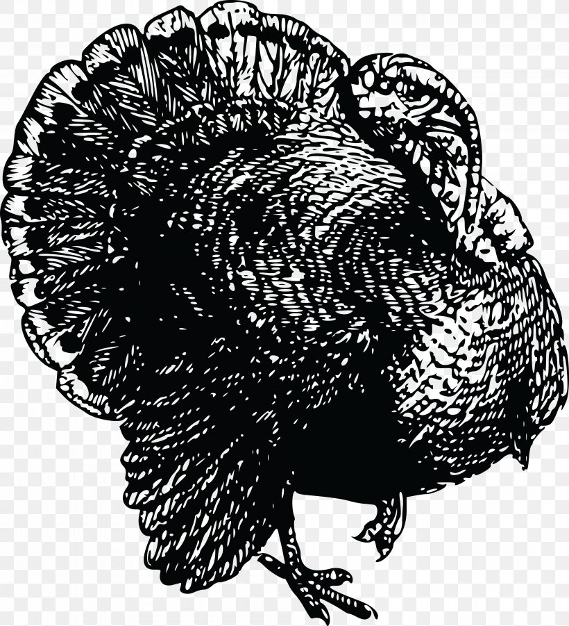 Black Turkey Turkey Meat Clip Art, PNG, 4000x4397px, Black Turkey, Baking, Beak, Bird, Black And White Download Free
