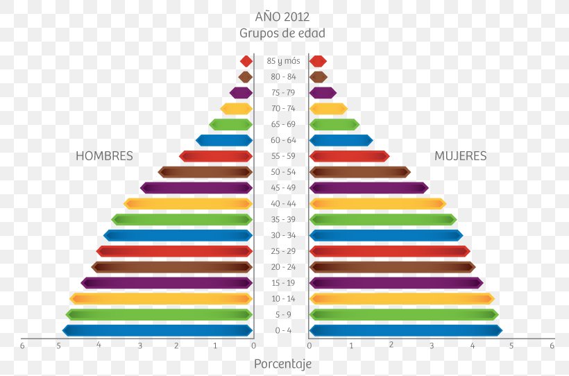 Clothing Statistics T-shirt Population Polo Shirt, PNG, 800x542px, Clothing, Christmas Tree, Cone, Cotton, Demography Download Free