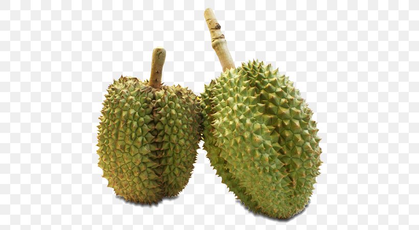 Durian Rayong Cempedak Fruit Langsat, PNG, 600x450px, Durian, Breadnut, Cassia, Cassia Javanica, Cempedak Download Free