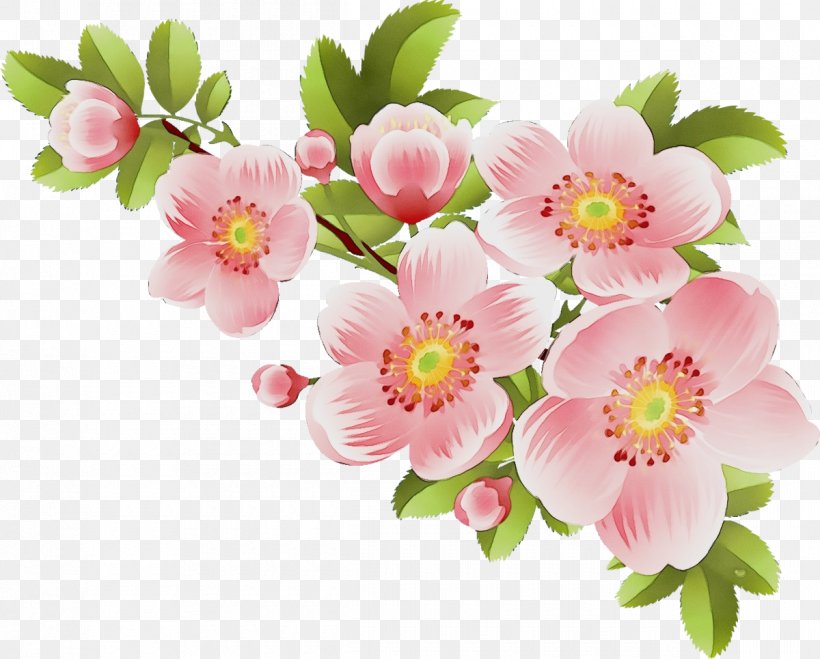Flower Flowering Plant Pink Petal Plant, PNG, 1200x965px, Watercolor, Blossom, Bouquet, Cut Flowers, Flower Download Free