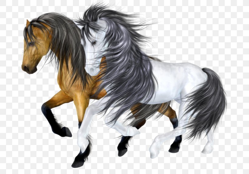 Mustang Drawing Stallion Pony Clip Art, PNG, 700x576px, Mustang, Animaatio, Cartoon, Drawing, Google Download Free
