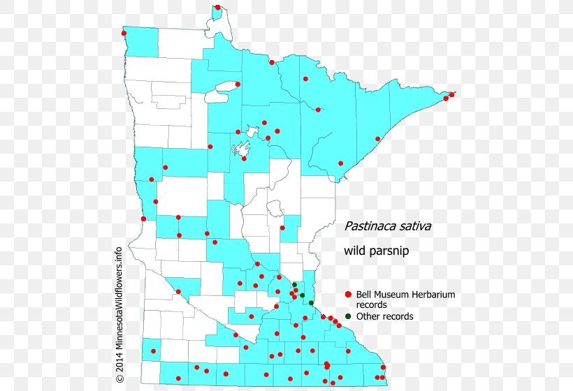 Parsnip Parsley McCarrons Lake Wildflower Soil Map, PNG, 500x560px, Parsnip, Area, Diagram, Flower, Land Lot Download Free