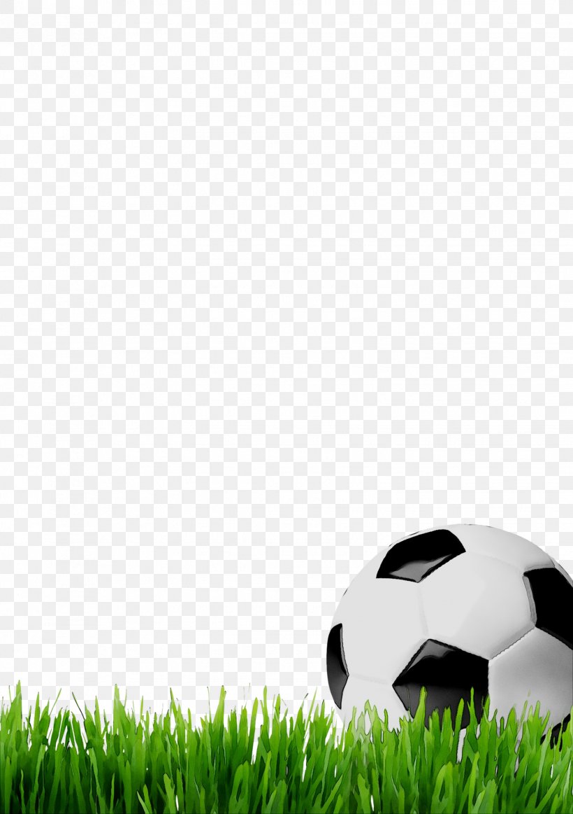 Green Product Design Desktop Wallpaper Computer, PNG, 1528x2168px, Green, Artificial Turf, Ball, Computer, Football Download Free