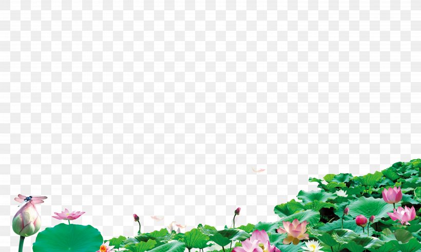 Lotus Background, PNG, 5906x3543px, Nelumbo Nucifera, Border, Color,  Computer Software, Film Download Free
