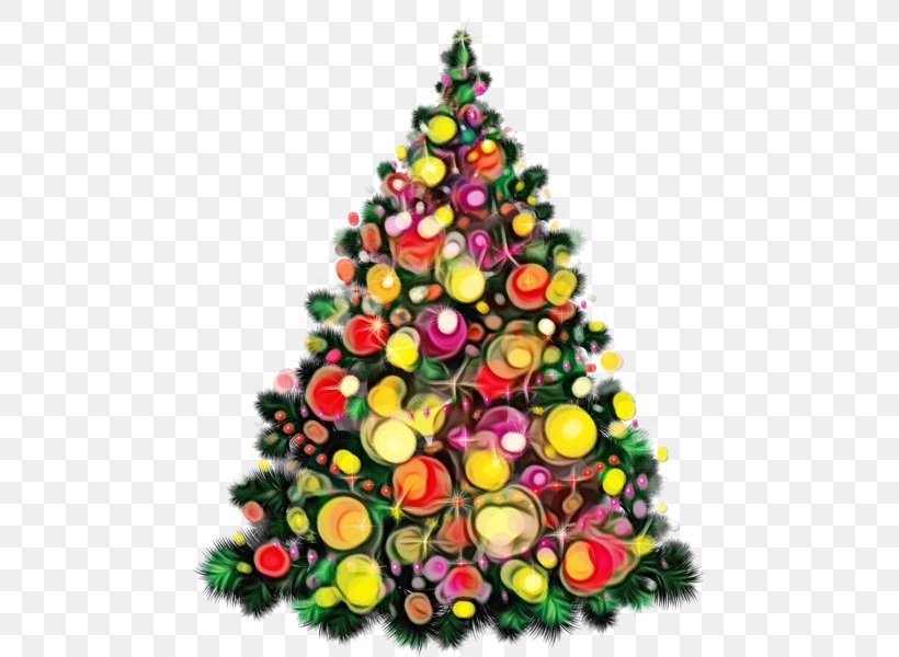Plant Christmas - Christmas Tree PNG