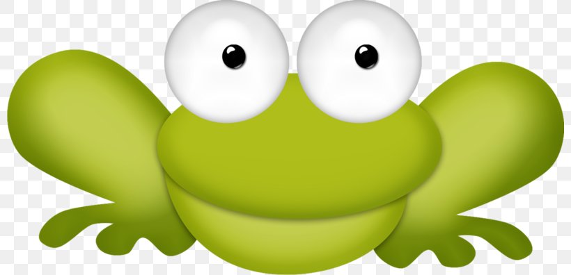 Frog Cartoon, PNG, 800x396px, Frog, Animal, Cartoon, Drawing, Frog And Toad Download Free