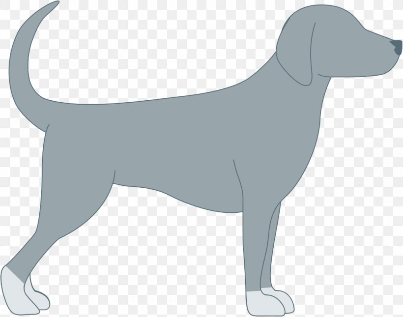 Labrador Retriever Puppy Dog Breed Sporting Group, PNG, 1016x800px, Labrador Retriever, Breed, Carnivoran, Dog, Dog Breed Download Free