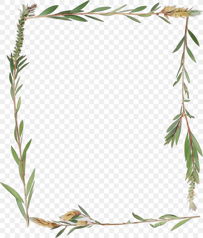 Picture Frames Plant Stem Leaf Flower Grasses, PNG, 2402x2815px, Picture Frames, Botany, Flower, Grasses, Leaf Download Free