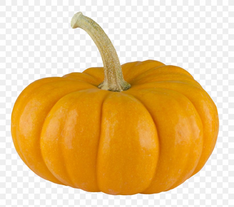 Pumpkin Pie Calabaza, PNG, 1557x1382px, Calabaza, Carving, Cucumber Gourd And Melon Family, Cucurbita, Cucurbita Pepo Download Free