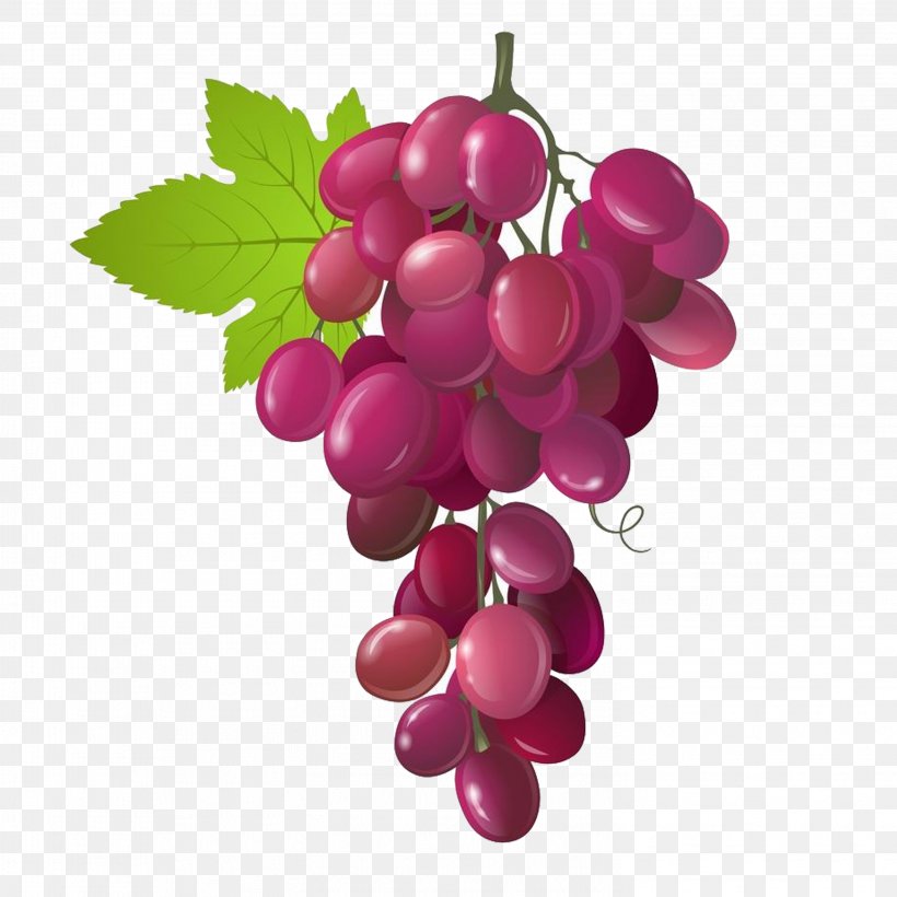 Vegetarian Cuisine Organic Food Fruit Berry Grape, PNG, 2953x2953px, Vegetarian Cuisine, Berry, Blackberry, Cherry, Cranberry Download Free