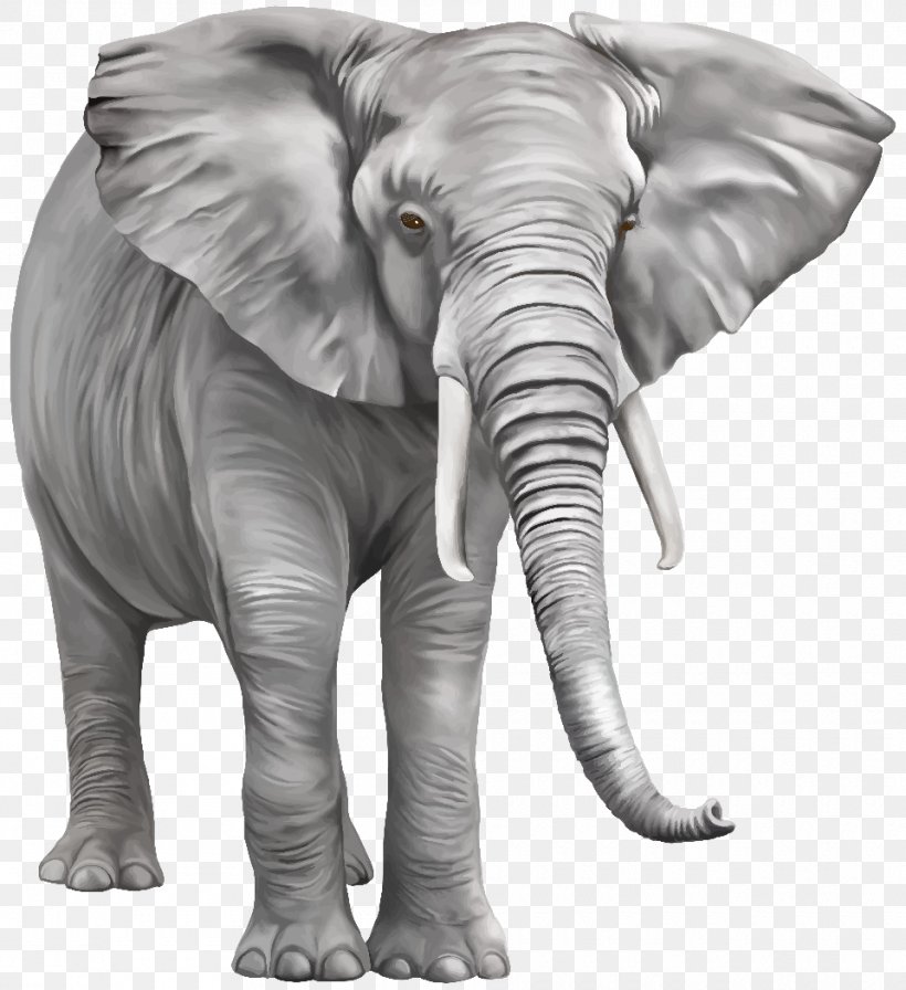 Asian Elephant African Bush Elephant Clip Art, PNG, 960x1049px, Asian Elephant, African Bush Elephant, African Elephant, African Forest Elephant, Animal Figure Download Free