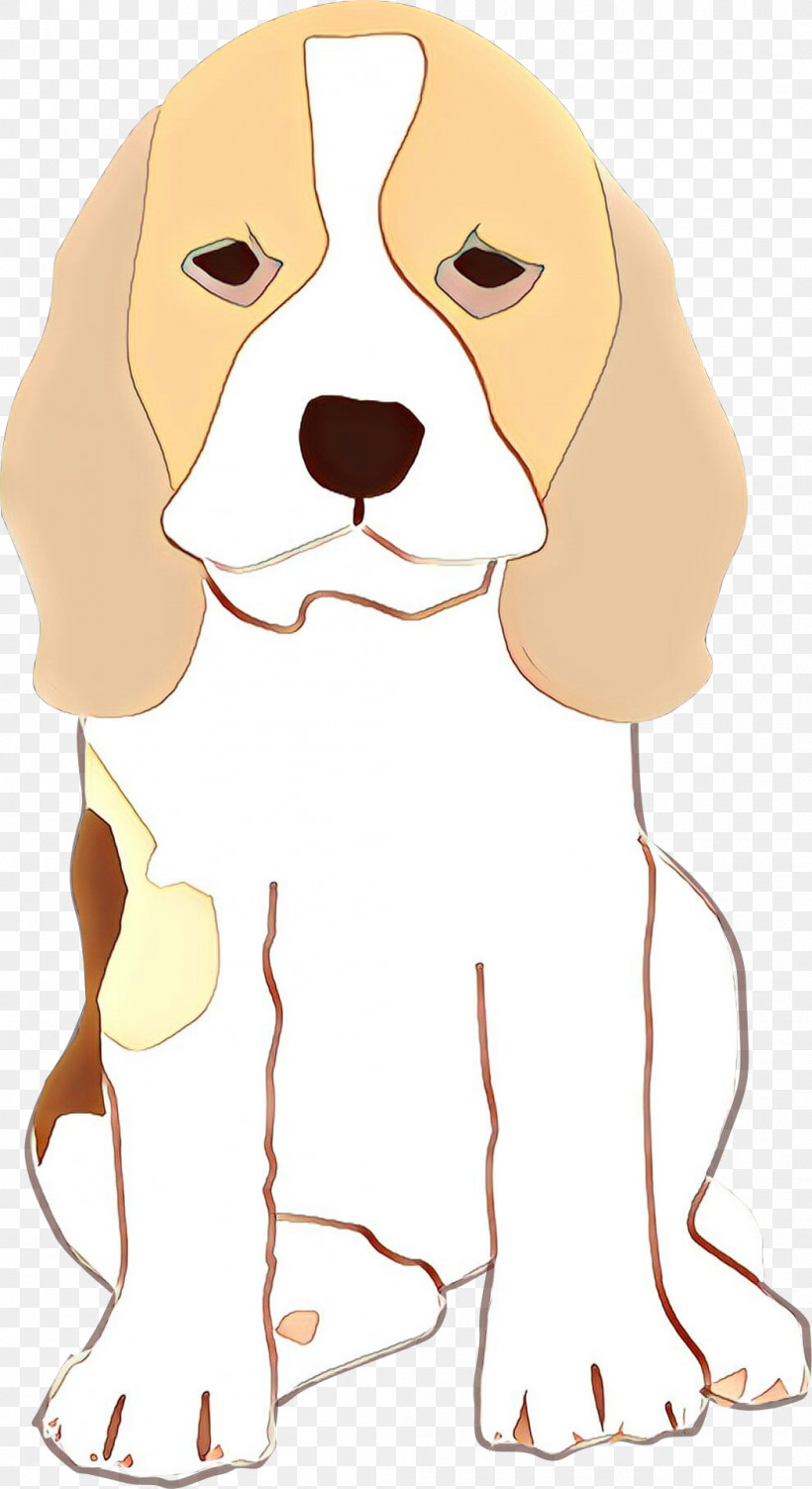 Dog Nose Beagle Snout Sporting Group, PNG, 1047x1920px, Dog, Beagle, Nose, Snout, Sporting Group Download Free