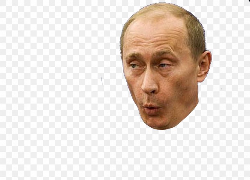 United States Russia Vladimir Putin Face, PNG, 1200x865px, United States, Barack Obama, Cheek, Chin, Ear Download Free