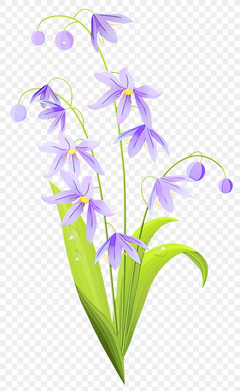 Drawing Of Family, PNG, 1843x3000px, Flower, Bellflower, Bellflower Family, Dendrobium, Drawing Download Free