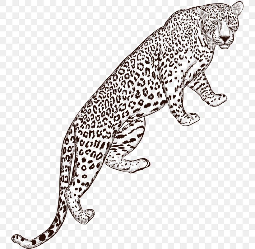 Leopard Jaguar Euclidean Vector, PNG, 755x800px, Leopard, Animal Figure, Big Cats, Carnivoran, Cat Like Mammal Download Free