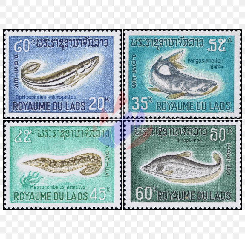 Postage Stamps Stamp Collecting Fish Cinderella Stamp Mail, PNG, 800x800px, Postage Stamps, Collecting, Fauna, Fish, Fishing Download Free