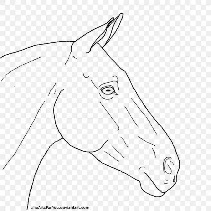 Snout Line Art Horse Mule Pony, PNG, 894x894px, Snout, Area, Artwork, Black And White, Bridle Download Free