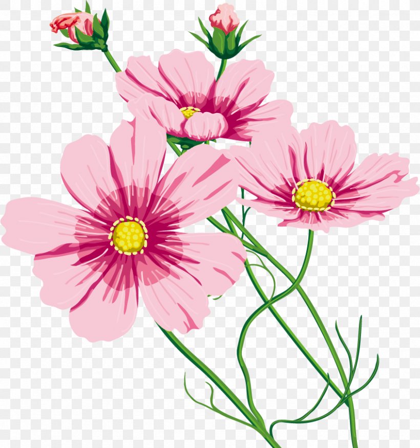 Garden Cosmos Cut Flowers 命のいしずえ Chrysanthemum Marguerite Daisy, PNG, 846x904px, Garden Cosmos, Annual Plant, Aster, Chrysanthemum, Chrysanths Download Free