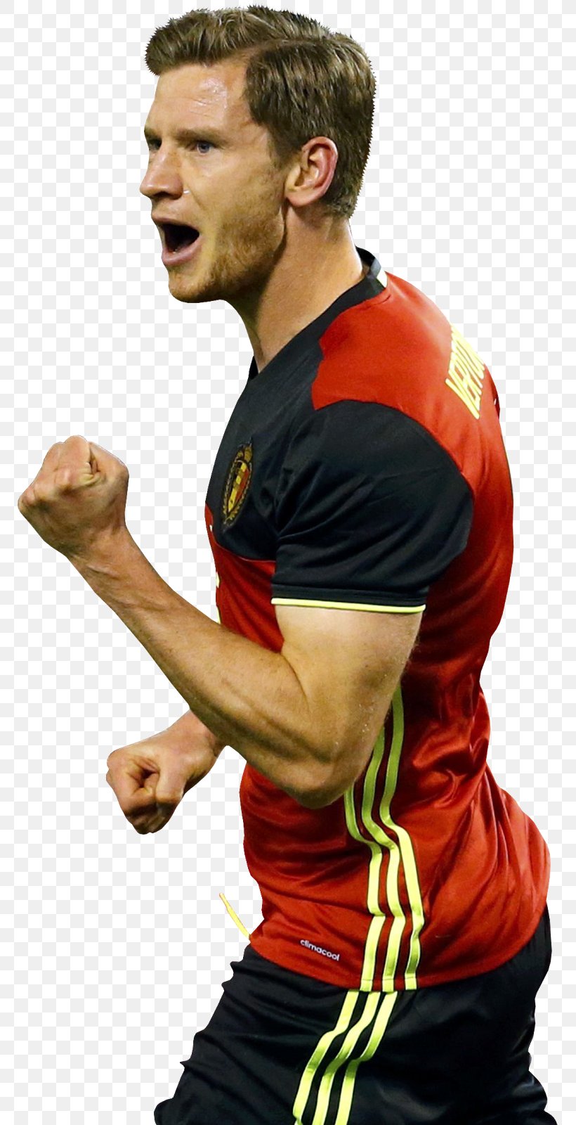 Jan Vertonghen Football Player Email Shoulder, PNG, 769x1600px, Jan Vertonghen, Arm, Author, Belgium National Football Team, Email Download Free