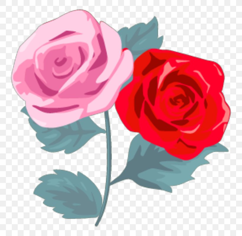 Garden Roses Centifolia Roses Flower Floribunda, PNG, 800x800px, Garden Roses, Artificial Flower, Centifolia Roses, Compact Disc, Cut Flowers Download Free