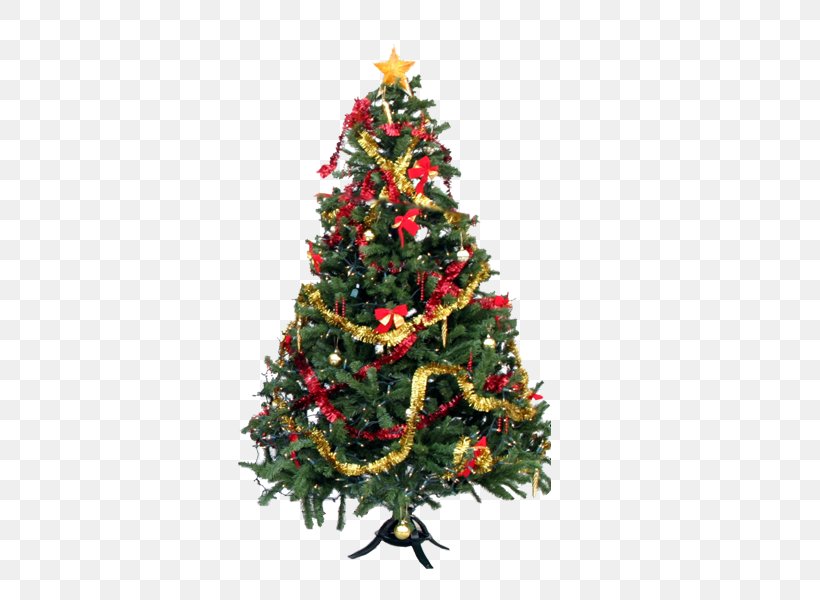 Christmas Tree Christmas Day Christmas Ornament Christmas Decoration, PNG, 600x600px, Christmas Tree, Branch, Christmas, Christmas Day, Christmas Decoration Download Free
