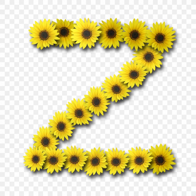 Common Sunflower Letter Information Alphabet, PNG, 1200x1200px, Common Sunflower, Alphabet, Blog, Chrysanths, Daisy Family Download Free