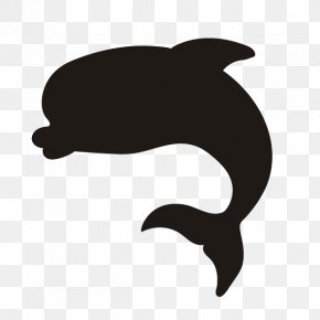 Dolphin Silhouette Vector Graphic - Dolphin Image PNG