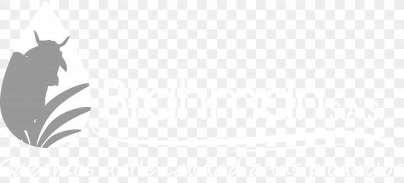 Logo Unicorn White Desktop Wallpaper Font, PNG, 4934x2245px, Logo, Black, Black And White, Brand, Computer Download Free