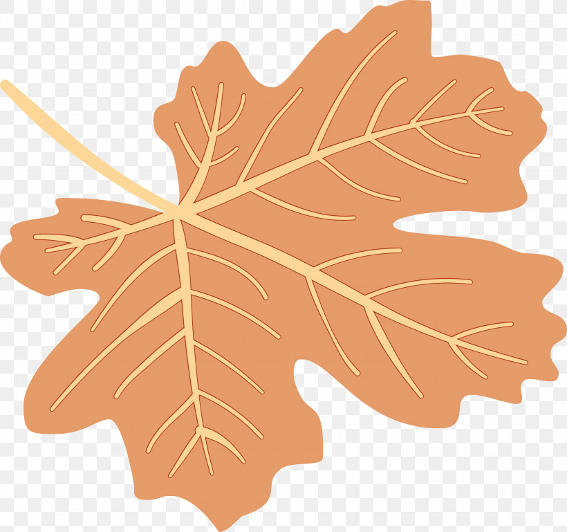 Maple Leaf, PNG, 3000x2816px, Autumn Leaf, Biology, Colorful Leaf, Colorful Leaves, Colourful Foliage Download Free