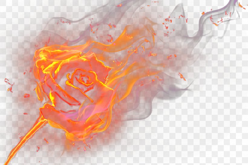 Flame Rose, PNG, 1024x682px, Watercolor, Cartoon, Flower, Frame, Heart Download Free