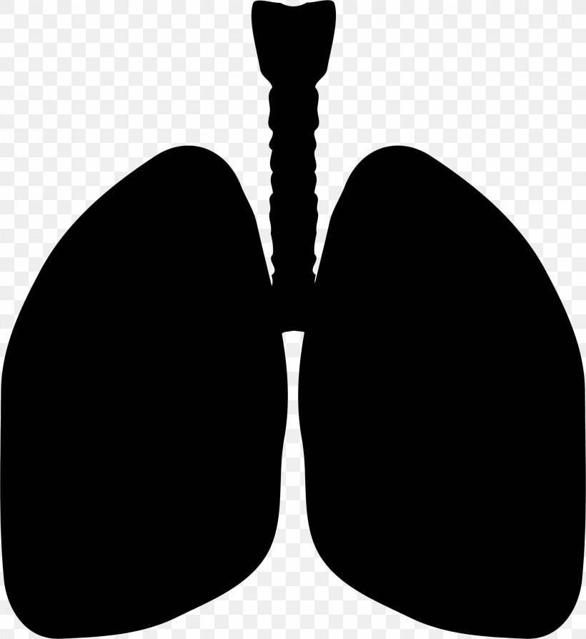 Lung Clip Art, PNG, 2116x2308px, Lung, Alpha 1antitrypsin Deficiency, Black, Black And White, Bronchus Download Free