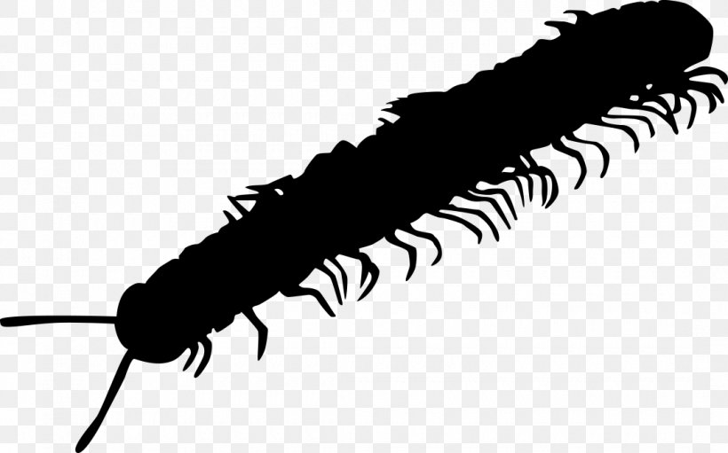 Millipedes Pest Caterpillar Cockroach Centipedes, PNG, 1080x674px, Millipedes, Ant, Arthropod, Black And White, Caterpillar Download Free