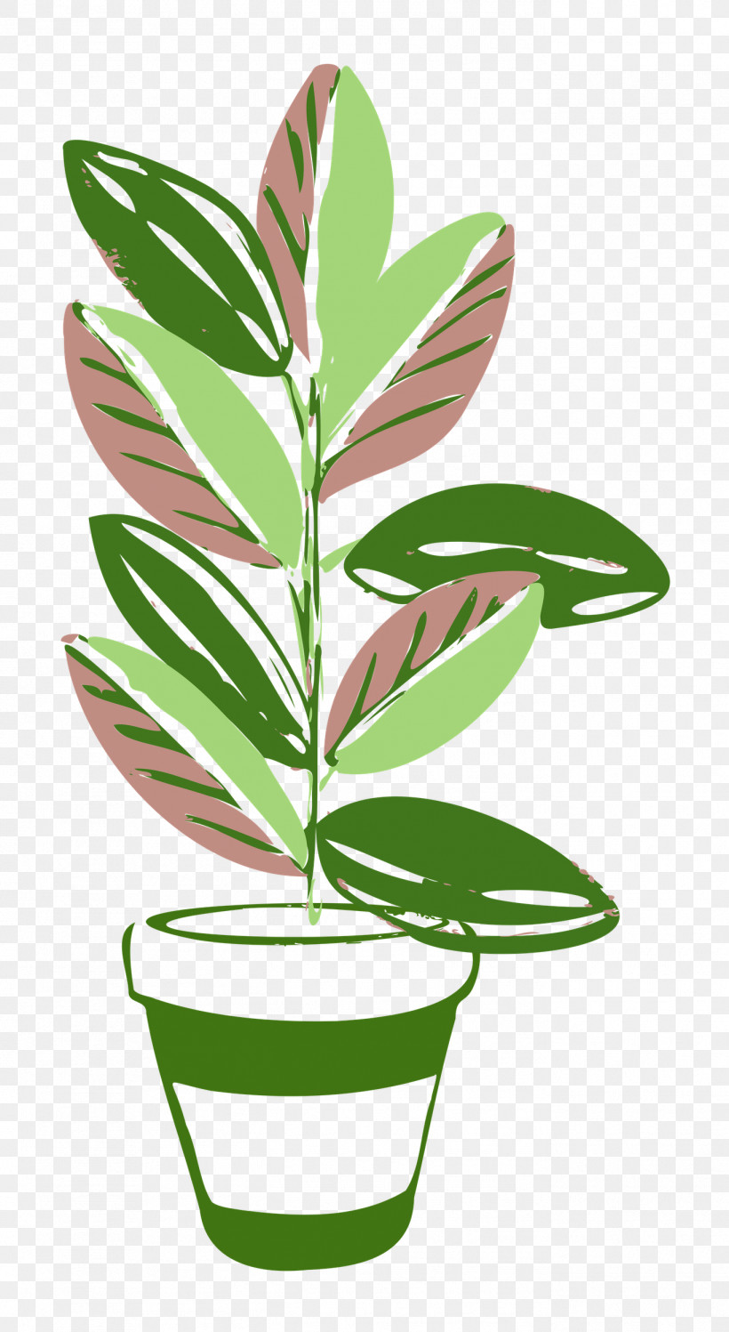 Plant Pot Garden, PNG, 1369x2500px, Plant, Biology, Flower, Flowerpot, Garden Download Free