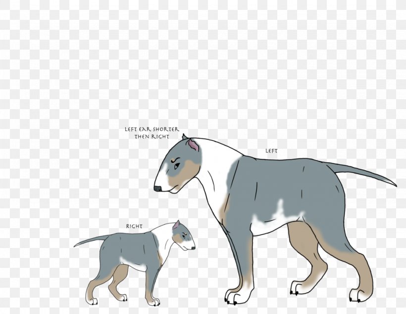 Dog Breed Italian Greyhound Cat, PNG, 1024x791px, Dog Breed, Breed, Carnivoran, Cartoon, Cat Download Free